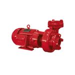 flange-ip-21-55