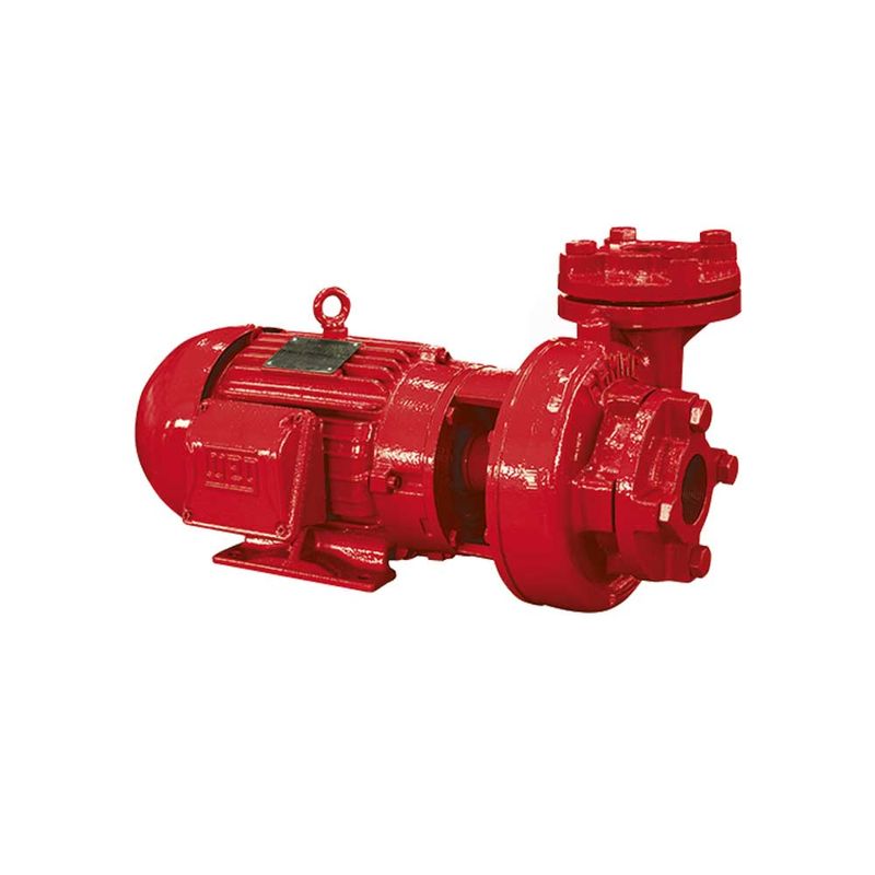 flange-ip-21-55