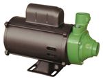 FSP-60-1-sem-etiqueta