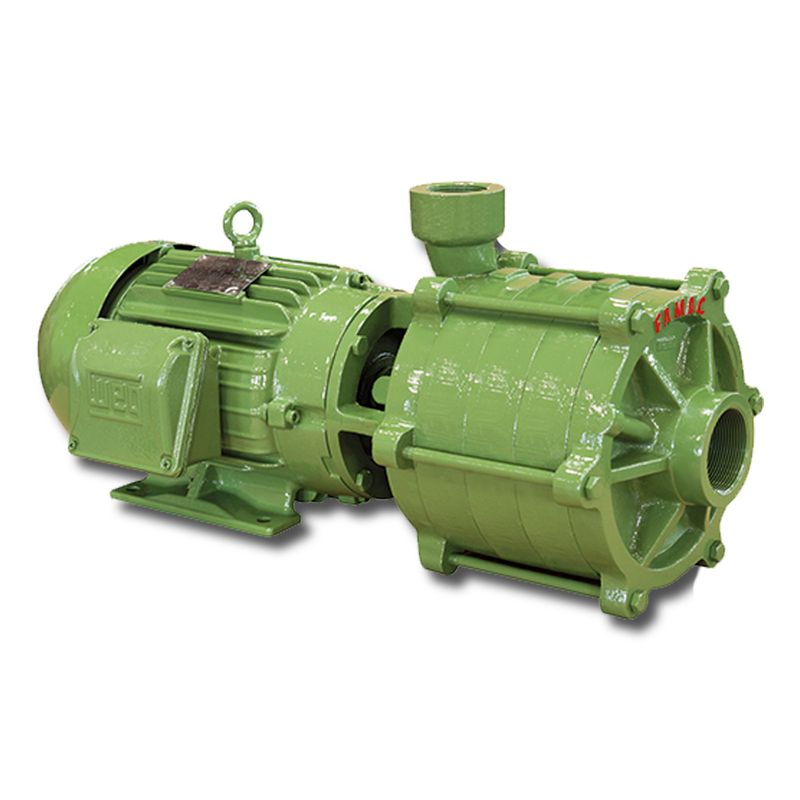 fmg-vz