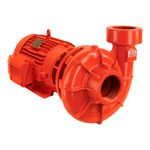 BPI-21-Rosca