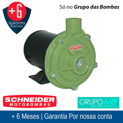 Bomba Centrifuga Schneider BC 92S 1B 3Cv 127/220V Monofasico