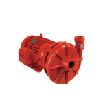 bpi-22-r