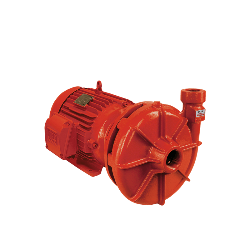 bpi-22-r